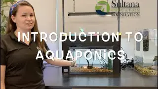Introduction To Aquaponics (Sultana Sessions Episode 6)