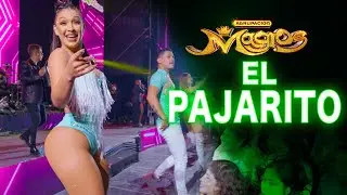 El Pajarito / Lunita Dame Platita - Agrupación Los Magios 2026 (Live)