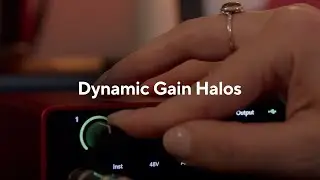 Introducing Dynamic Gain Halos - Scarlett 4th Gen