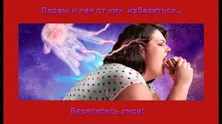 Берегитесь лярв!