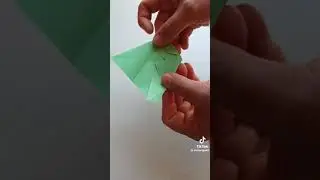 Papiroflexia Escolar