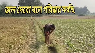 জল দেবো বলে পরিষ্কার করছি সরষের জমিতে #vlog