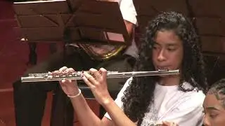 BSJF/GEEK SINF&Ocirc;NICO - Game of thrones (Ramin Djawadi) (Arranjo Michael Brown)