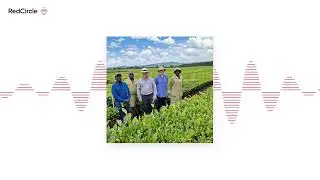 Tea Biz - Ep 176 | Yes, Tea is Getting Pricy | Lipton Partners with Cranfield U to Lower Tea Emissio