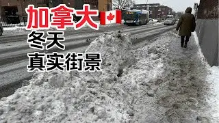 蒙特利尔的冬天 大雪天 脏街道  看完你还想来加拿大吗？真实加拿大街景实拍