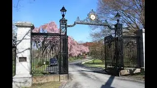 Automatic Gate Barrier - Automatic Barriers and Gate Openers