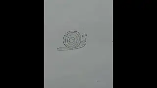 How to draw snail for kids