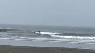 mfsoftboards  twin