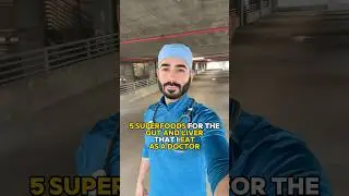 Five superfoods for the gut, liver, and gallbladder health I eat as a doctor guthealth ibs food