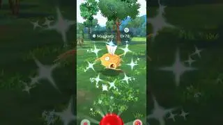 All My Recent Shinies During The Water Festival Event In #pokemongo