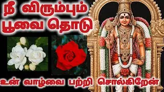 நீ விரும்பும் பூவை தொடு வாழ்க்கையை பற்றி சொல்கிறேன்