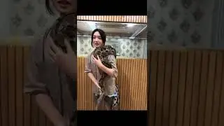 DELYNN MAIN SAMA ULAR BESAR 😭 #delynnjkt48 #jkt48