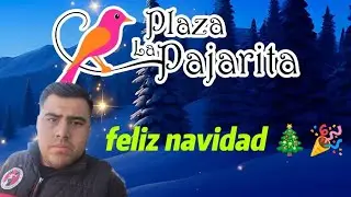 Fui al gran ensendido del arbolito navideño dela plaza la pajarita 