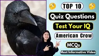Quiz Time | Test Your General Knowledge With 10 American Crow Questions | Helian GK Quiz #gkquiz