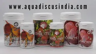 ROYAL MENU Premium Feed | Aqua Discus India | Professional Composition | Royal Menu