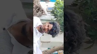 #numberonebgm #ட்ரெண்டிங் #🤣#reelsinstagram #iloveyou #tamibgm