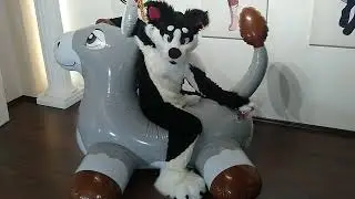 Horseplay Magic Stable Donkey inflatable pooltoy deflation
