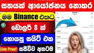 Earn money  online  sinhala | Free usdt app sinhala  | online  jobs at home | free bainance usdt  🤑