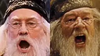 Both Dumbledore&rsquo;s yelling SILENCE!