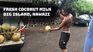 Must Try!!! Perfect Local Hawaiian Treat - Fresh Coconut Milk at Kealakekua Bay, Big island Hawaii