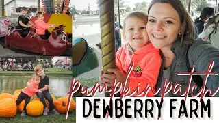 pumpkin patch | dewberry farm in texas | xoxo, julianne