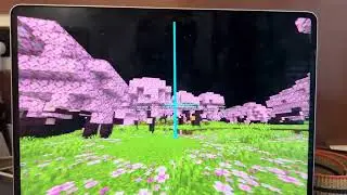 Ip - Speedzermc.play.hosting