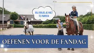 BILLY IS ONTSNAPT!😫 | PaardenpraatTV