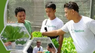 Cheapest Hydroponics system for the family!
