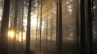 Rosswood - Marble Hornets soundtrack