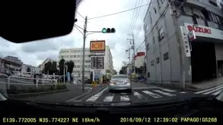 PAPAGO!　Gosafe268サンプル動画