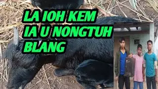 LA IOH KEM IA U NONGTUH BLANG