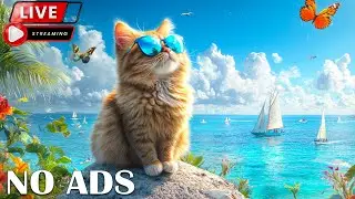 12 Hours Of Soothing Cat Music 🐈 Cat TV 😻 Gentle Melodies for Relaxing and Healing