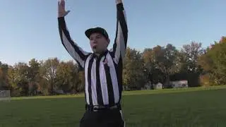 NFL refs be like....