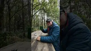 Tea in the woods #outdoors #hiking #selfcare #gooutside #shorts #nature #relaxing