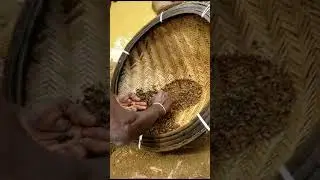 search gems stone srilanka legal mining