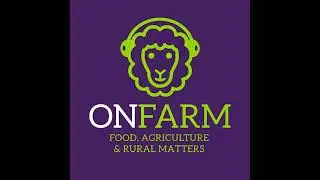 Norvite - a Scottish alternative to imported soybean feed