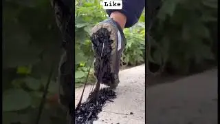 footsteps#satisfy#satisfyvideo