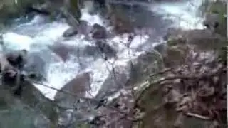 Caney Fork Headwaters (2nd Attempt)