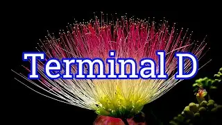 Terminal D - Silent Partner [Audio Library Release] . Free Copyright-safe Music