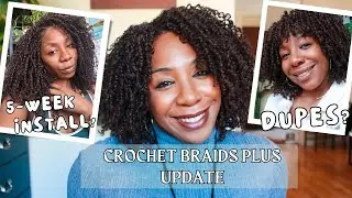The BEST Yanky Twists |Crochet Braids Plus Review | 5-Week Wear!