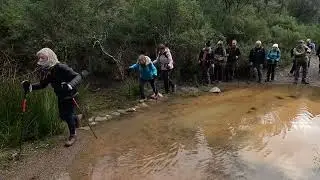 2025 12 18  Sant Sadurní de l'Heura i Dinar Nadal 2025