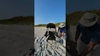 Docusvect Canopy Camping Chair review