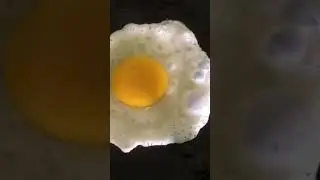 Eggs are a good source of Omega 3s
