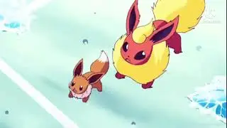 Flareon (AMV) Tribute