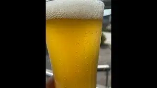 Hops in my garden