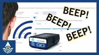 Setting Geotab Audio Feedback by Asset