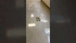 Now that&rsquo;s a good mousetrap car! Thats 59+ feet!