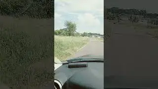 село