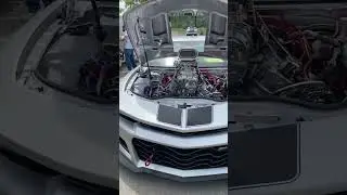 ZL1 with huge twin screw blower