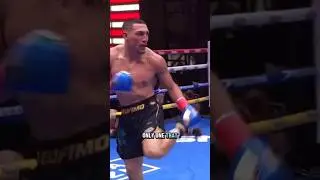 Is This BOXER Using Wing Chun? (Teofimo Lopez vs Shakur Stevenson)
